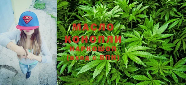 стаф Кодинск