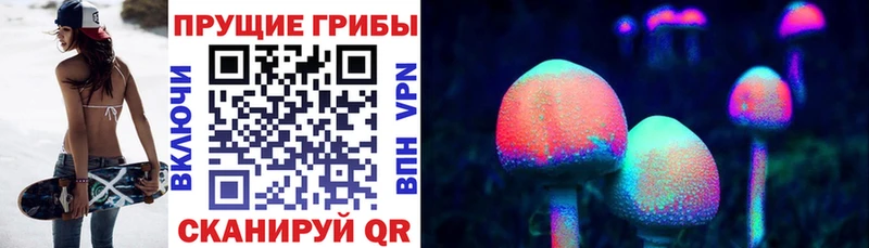 Псилоцибиновые грибы Psilocybine cubensis даркнет сайт Сычёвка